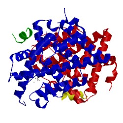 Image of CATH 5kcw