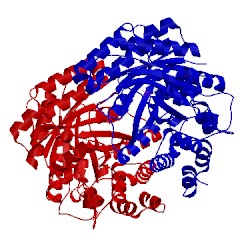 Image of CATH 5kda