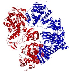 Image of CATH 5kdw