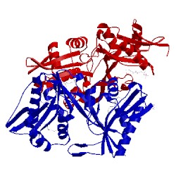 Image of CATH 5kf1