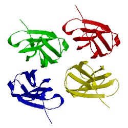 Image of CATH 5kf4