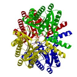 Image of CATH 5kh2