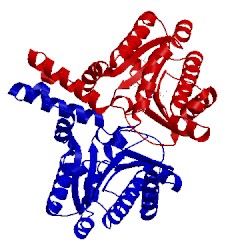 Image of CATH 5kh5