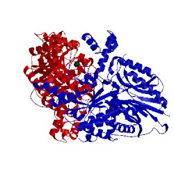 Image of CATH 5kha