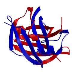 Image of CATH 5khf
