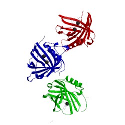 Image of CATH 5kic