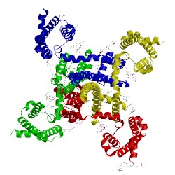 Image of CATH 5klb