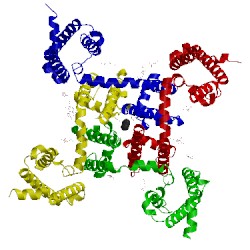 Image of CATH 5kmd