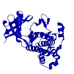 Image of CATH 5kml