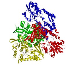 Image of CATH 5kmr