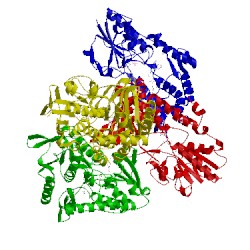 Image of CATH 5kms