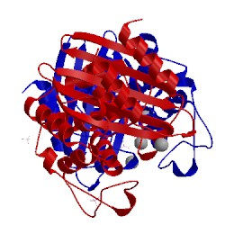 Image of CATH 5kmt