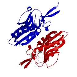 Image of CATH 5knx