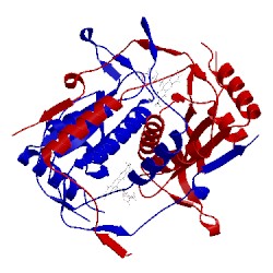 Image of CATH 5ko7