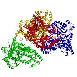 Image of CATH 5kod