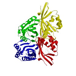 Image of CATH 5kp1