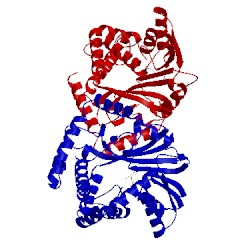 Image of CATH 5kpc