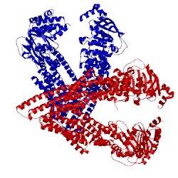 Image of CATH 5kpd