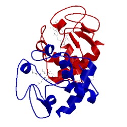 Image of CATH 5kpf