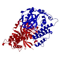 Image of CATH 5kpp