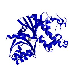 Image of CATH 5kpt