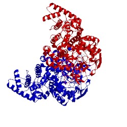 Image of CATH 5kqq