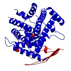 Image of CATH 5kte