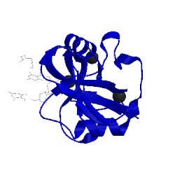 Image of CATH 5kth