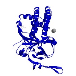 Image of CATH 5kum