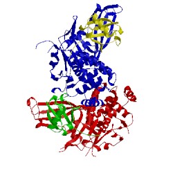 Image of CATH 5kye