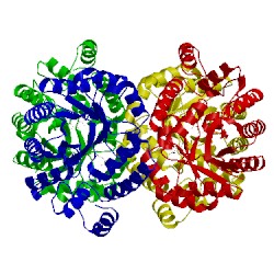 Image of CATH 5kzd