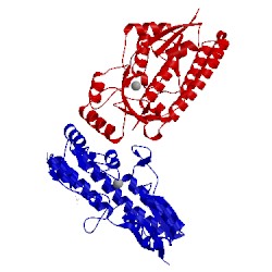 Image of CATH 5kzj