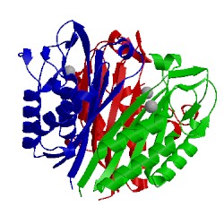 Image of CATH 5l12