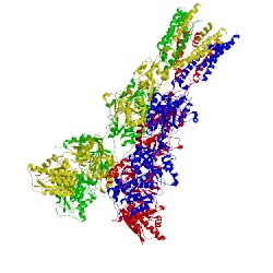 Image of CATH 5l1b