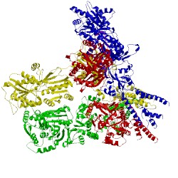 Image of CATH 5l1g