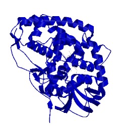 Image of CATH 5l1s