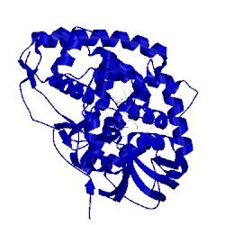 Image of CATH 5l1v