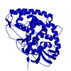 Image of CATH 5l1w