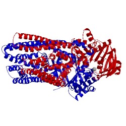 Image of CATH 5l22