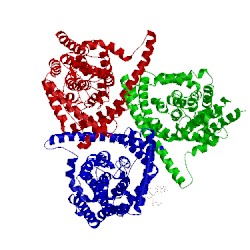 Image of CATH 5l2a