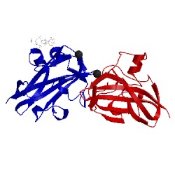 Image of CATH 5l2v