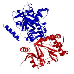Image of CATH 5l2x