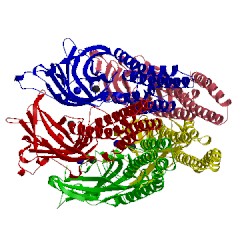 Image of CATH 5l47
