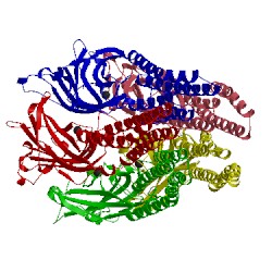 Image of CATH 5l4e