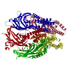 Image of CATH 5l4h