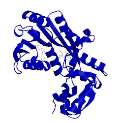 Image of CATH 5l4l