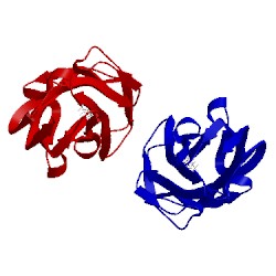 Image of CATH 5l4x