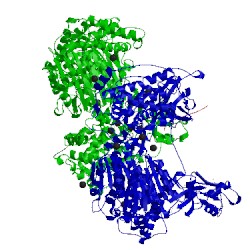 Image of CATH 5l6i
