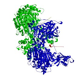 Image of CATH 5l6j