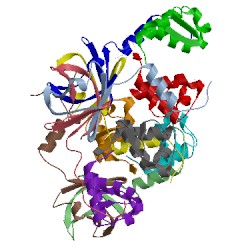 Image of CATH 5l6m